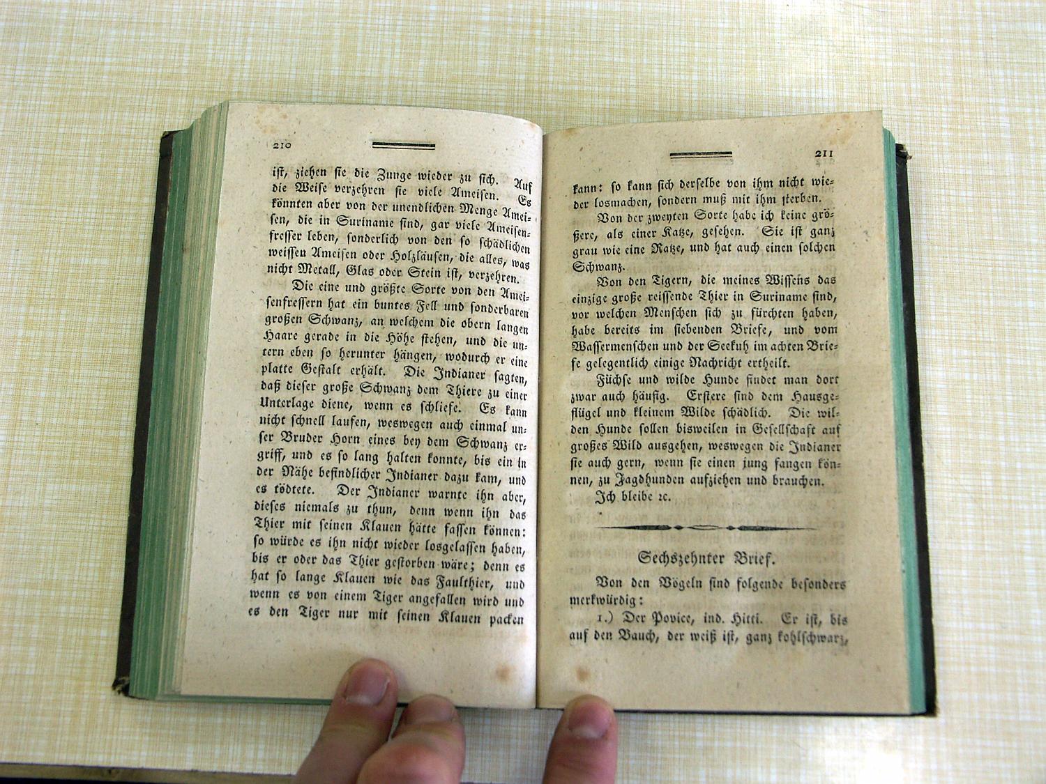 ZZ-QUAN07,S.210 Surinam,Vogel